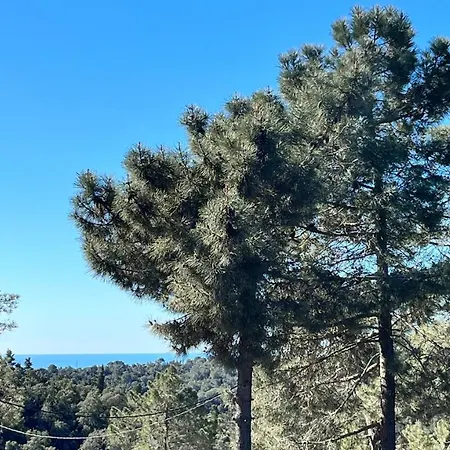 Paradise Lloret Гостьовий будинок