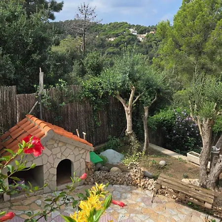 Гостьовий будинок Paradise Lloret
