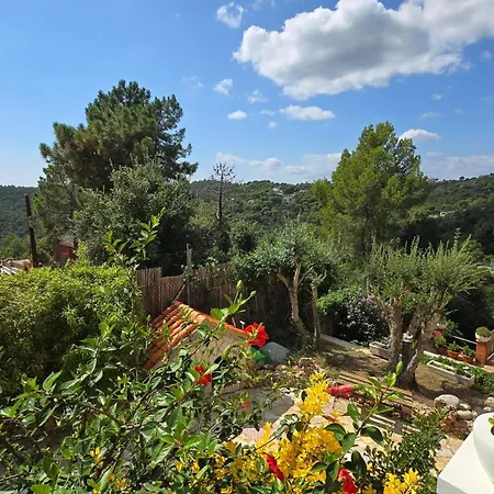Paradise Lloret Gasthof 3*